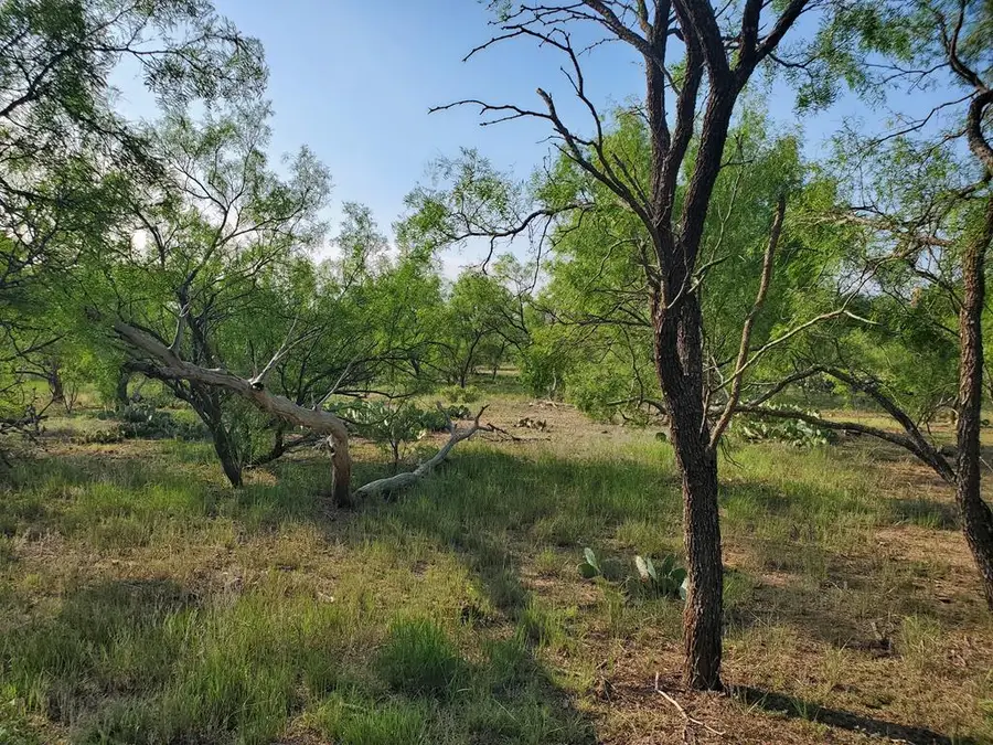 5 Cave Wells Rd, Menard, TX 76841 - Image #2