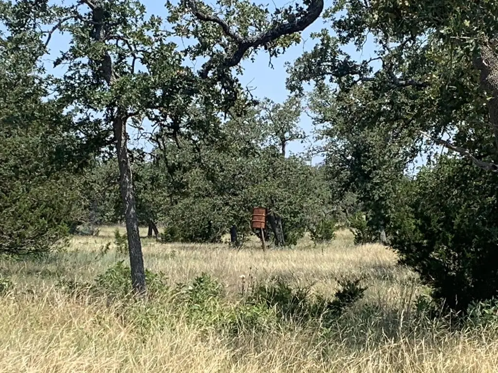 460 Inspiration Loop, Fredericksburg, TX 78624 - Image #1