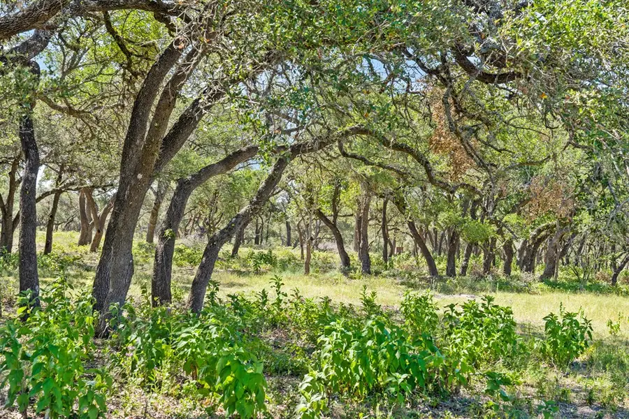 Tract 12 Ranch Rd 1623, Stonewall, TX 78671 - Image #2