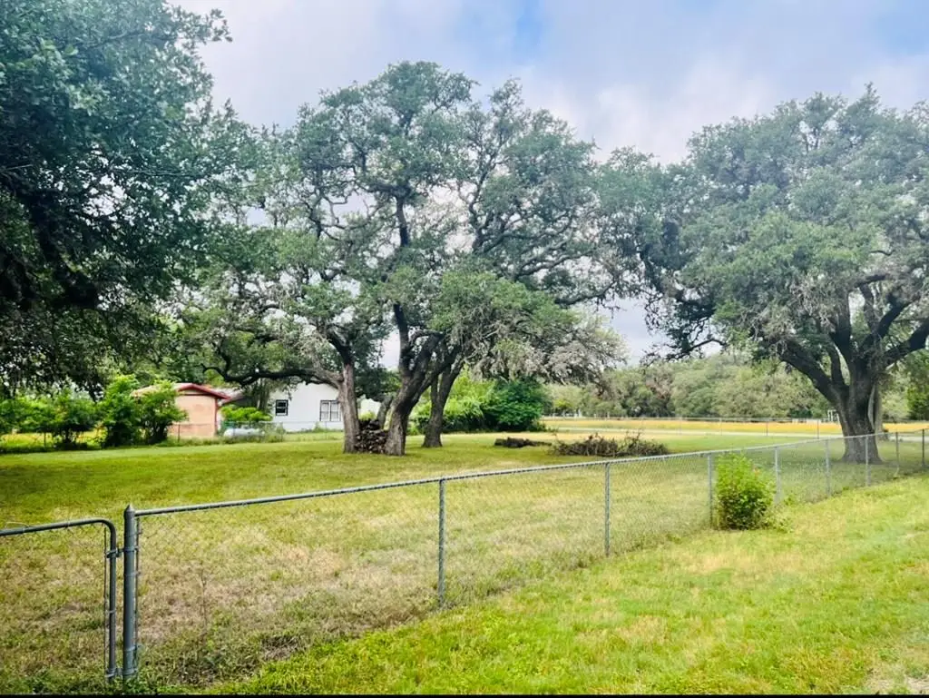 TBD N 9th Street, Blanco, TX 78606 - #1