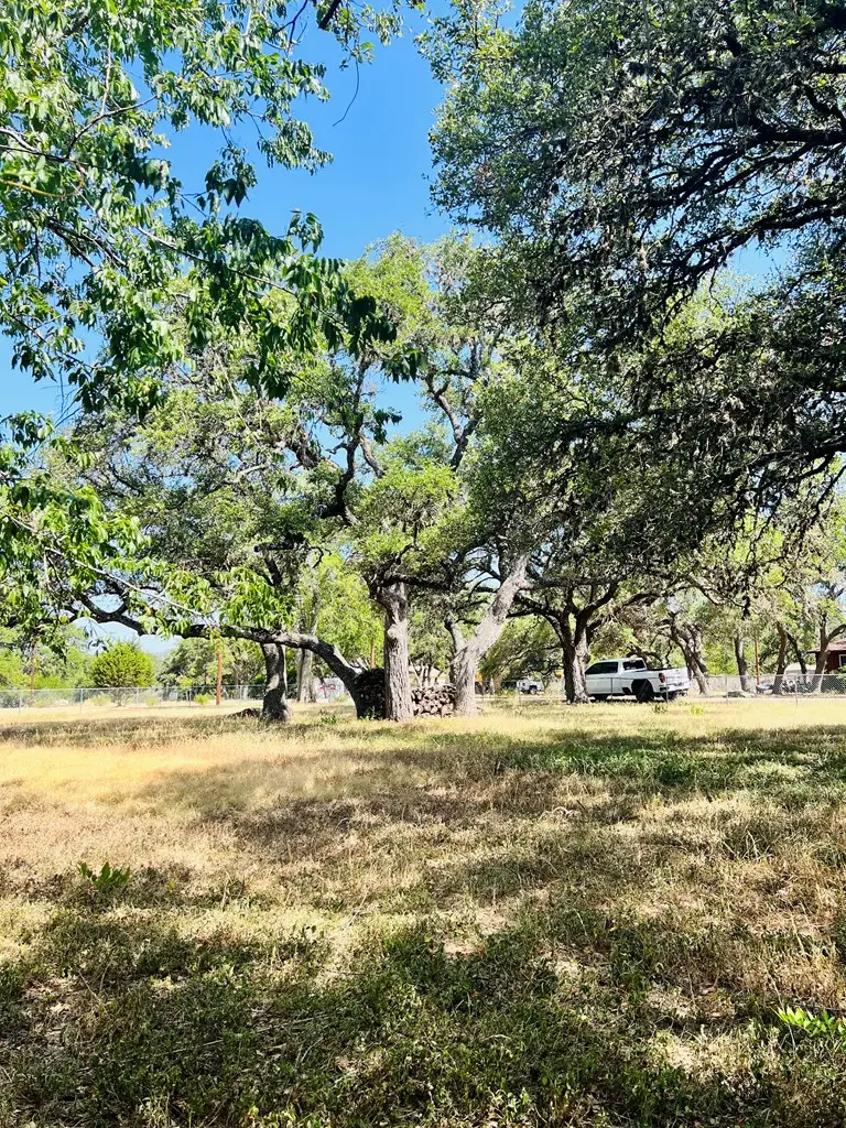 TBD N 9th Street, Blanco, TX 78606 - #3