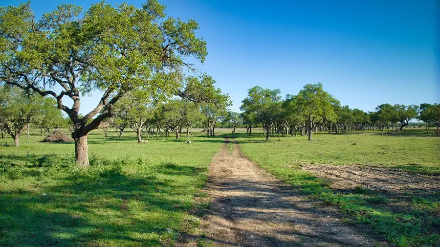 3133 E Chimney Valley Rd, Blanco, TX 78606 - #3