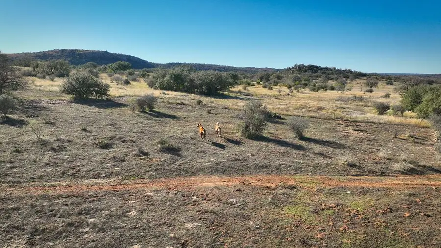 0 Hickory Grove Rd., Pontotoc, TX 76856 - Image #2