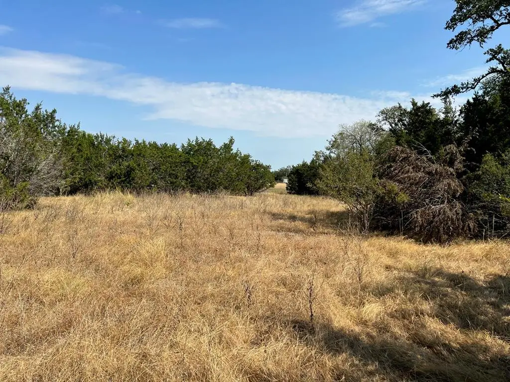 343 Ej Court, Blanco, TX 78606 - Image #1