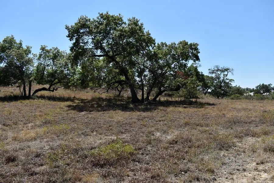 689 Kendall Jackson, Comfort, TX 78013 - #2