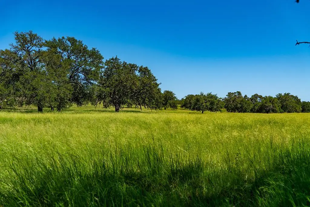 00 Lindig Ranch Rd, Stonewall, TX 78671 - Image #1