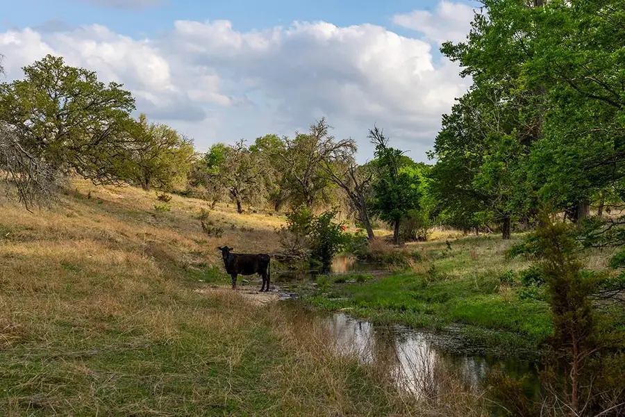 00 Lindig Ranch Rd, Stonewall, TX 78671 - Image #3