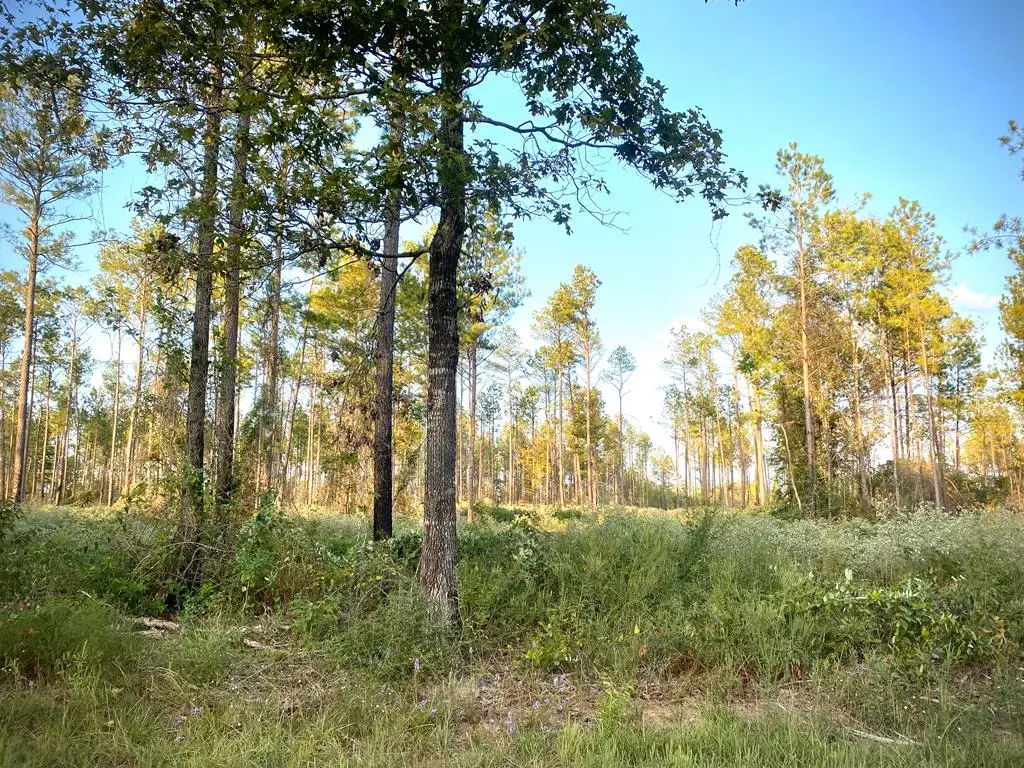 1185 Lot 5 Fm 844, Huntington, TX 75949 - Image #1