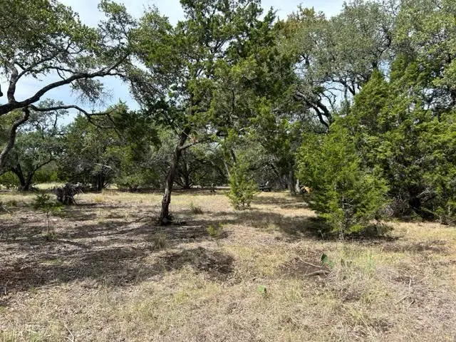 1012 Cielo Springs Dr, Blanco, TX 78606 - Image #2