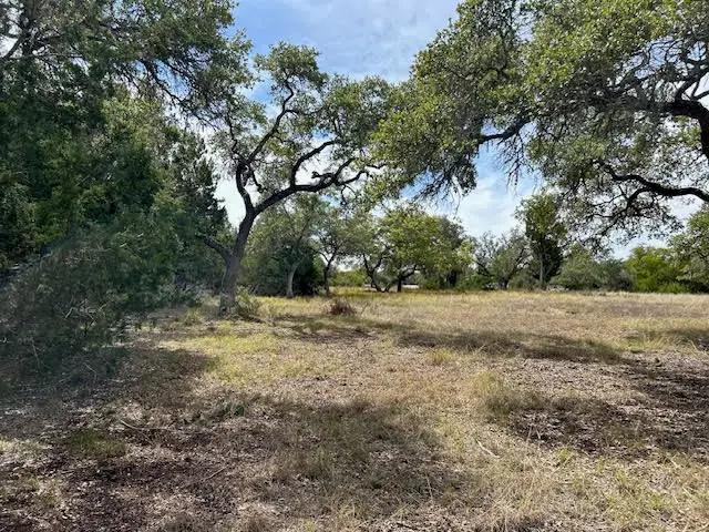 1012 Cielo Springs Dr, Blanco, TX 78606 - Image #3