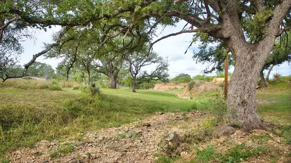 1389 Sommerfeld St, Mason, TX 76856