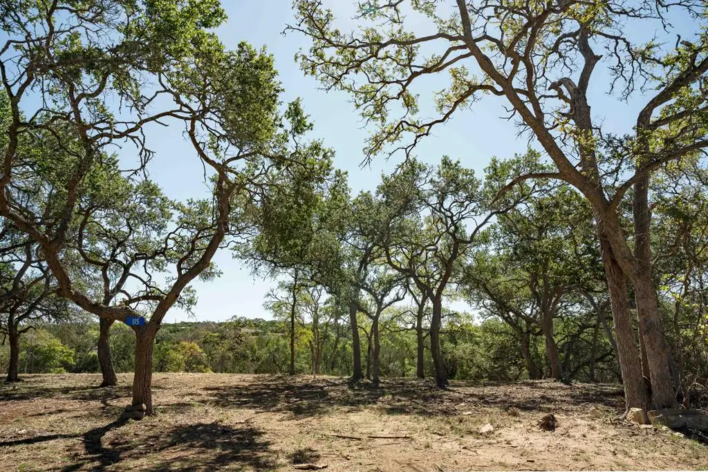 115 La Luna Dr, Blanco, TX 78606 - #1