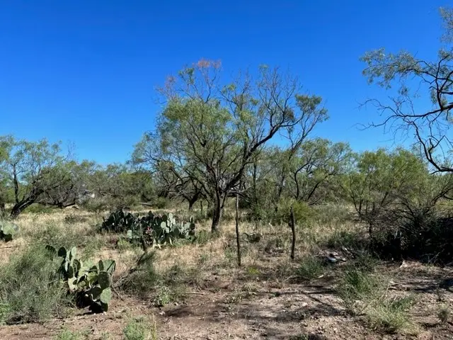 13910 County Rd 4483, Millersview, TX 76862 - Image #3