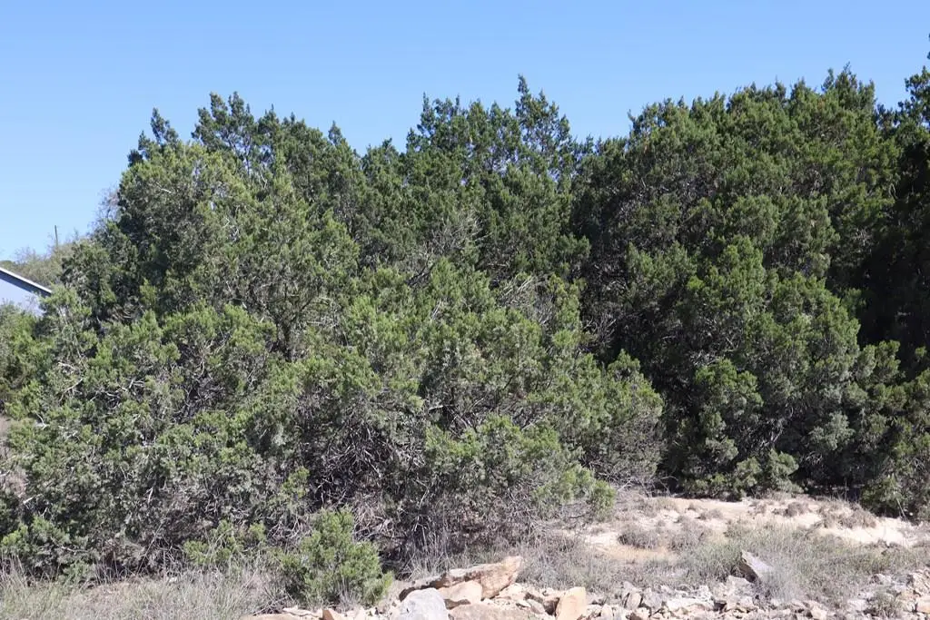 Lot 70 Golf Dr, Spring Branch, TX 78070 - #1