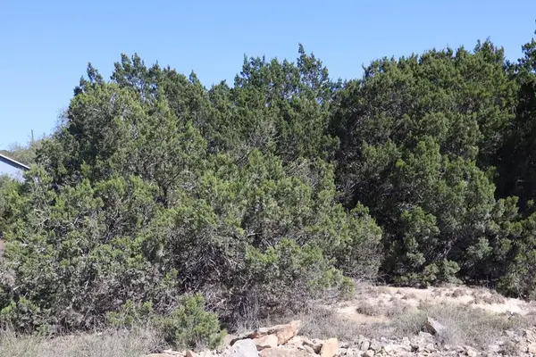 Lot 70 Golf Dr, Spring Branch, TX 78070