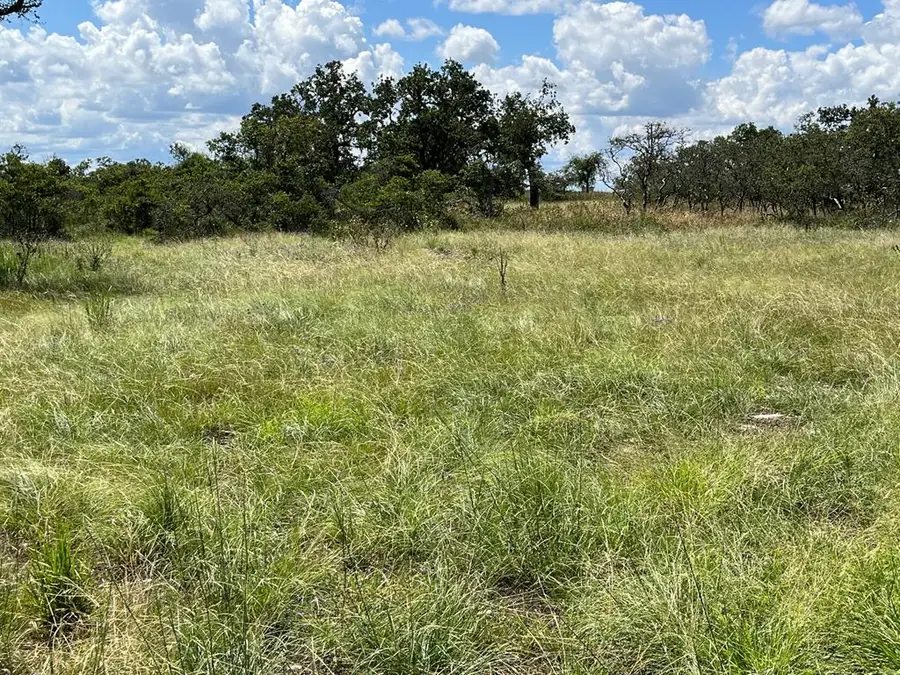 Lot 2 Jung Rd, Harper, TX 78631 - Image #3