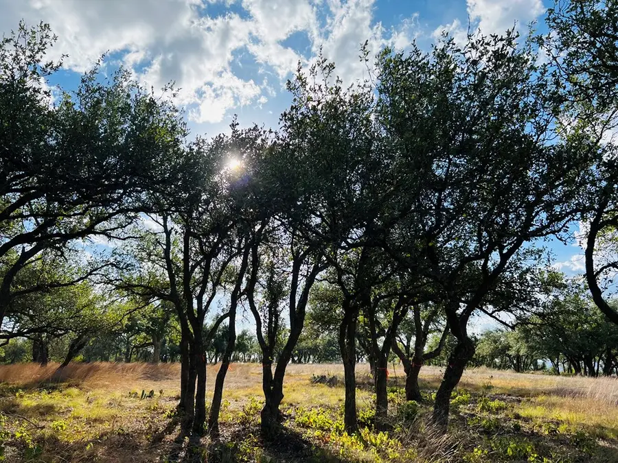 400 W Sunset, Johnson City, TX 78636 - Image #3