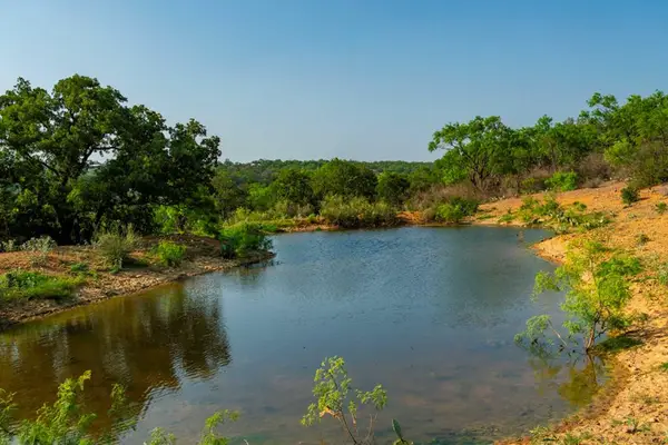 1041 Ranch Rd 386, Mason, TX 76856