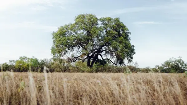 10 TBD W Us Hwy 290, Johnson City, TX 78636