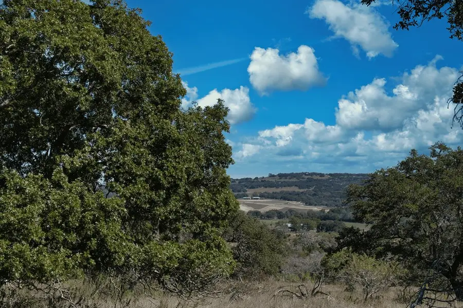 2225 Schumann Rd, Stonewall, TX 78671 - Image #3