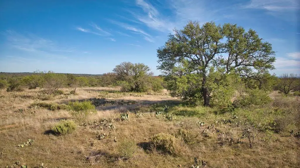 0 Old Pontotoc Rd, Mason, TX 76856 - Image #1