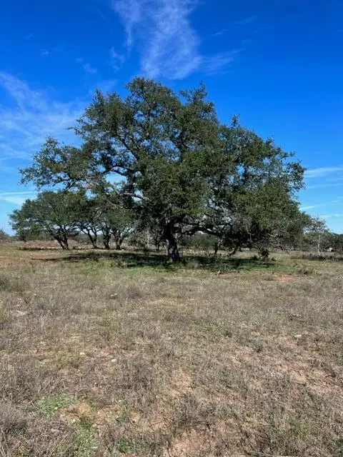 TBD Enchanted Us Hwy 290, Johnson City, TX 78636 - Image #2