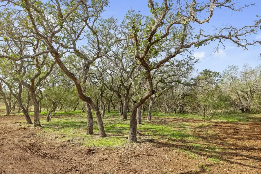 10 Lost Draw Rd, Johnson City, TX 78636 - #3