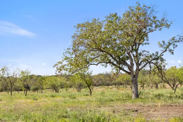 10 Rustic Ridge Ranch, Johnson City, TX 78636