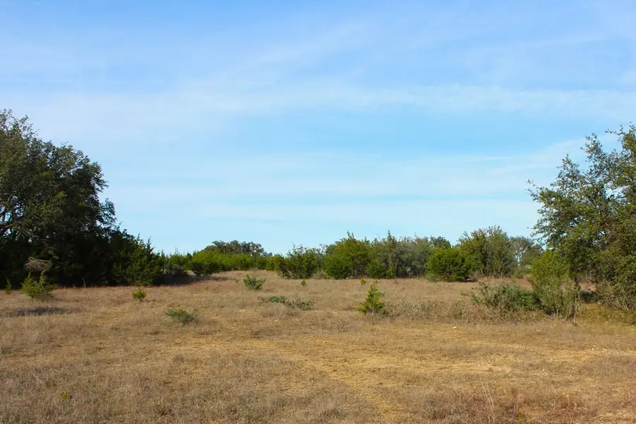 Lot 161 Country Aire Dr, Johnson City, TX 78636 - Image #2
