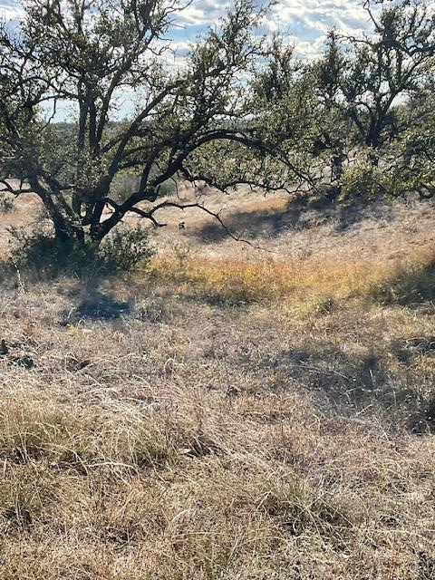 00 W Mountain View Dr, Mason, TX 76856 - Image #3