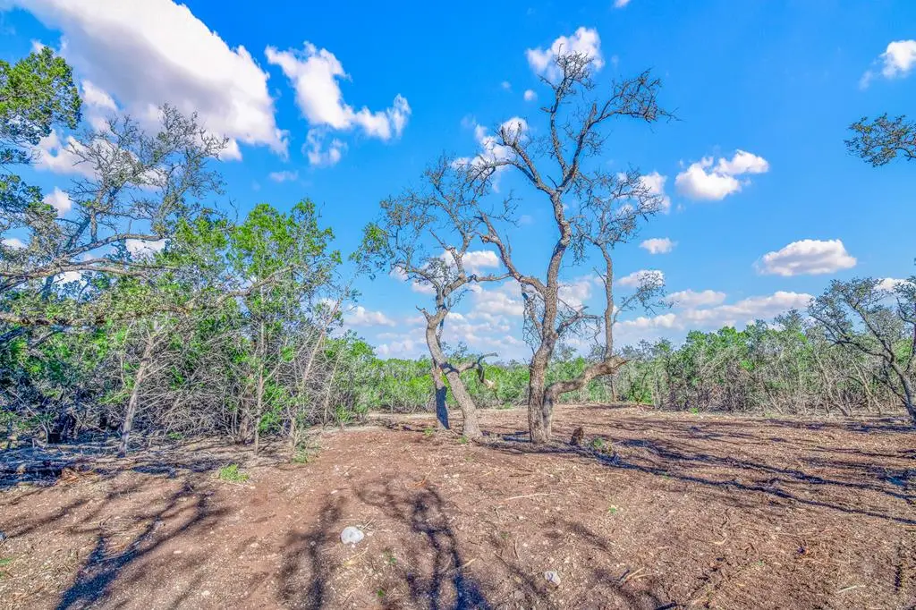 Tract 4 Gillespie Ridge Dr, Harper, TX 78631 - Image #1