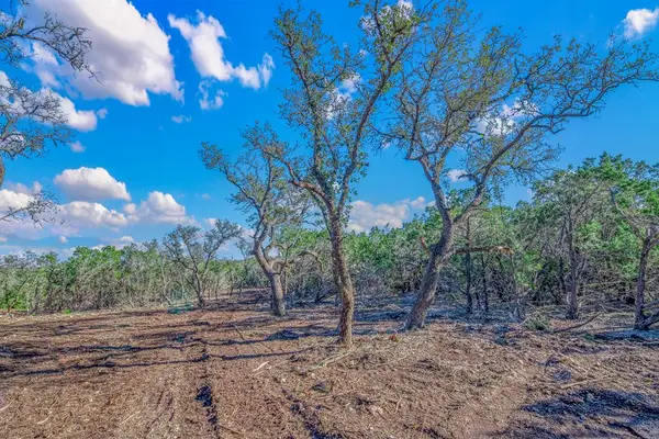 Tract 8 Gillespie Ridge Dr, Harper, TX 78631