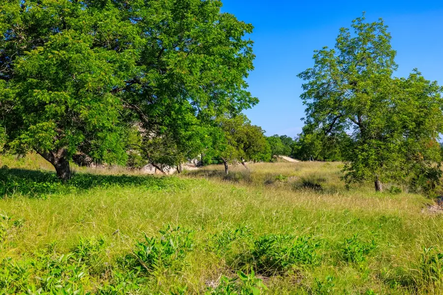 481 Living Water Ranch Rd., Harper, TX 78631 - Image #3