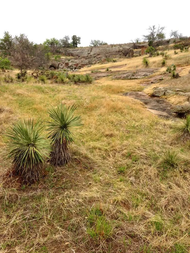 503 Hickory Creek Rd, Llano, TX 78643 - Image #2