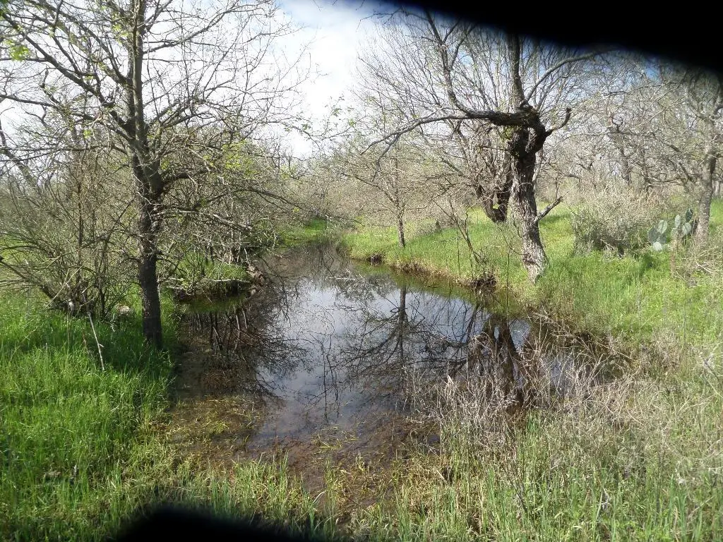 3398 Mas-o-llan County Road, Mason, TX 76820 - Image #1