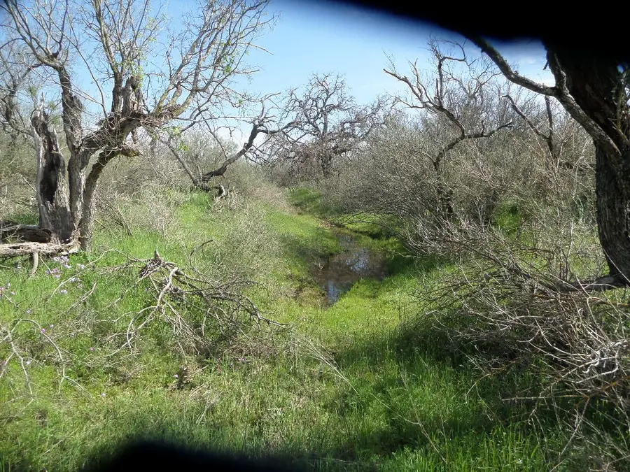 3398 Mas-o-llan County Road, Mason, TX 76820 - Image #2