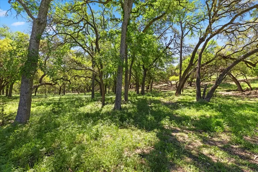 729 Rabbit Rd, Wimberley, TX 78676 - #3