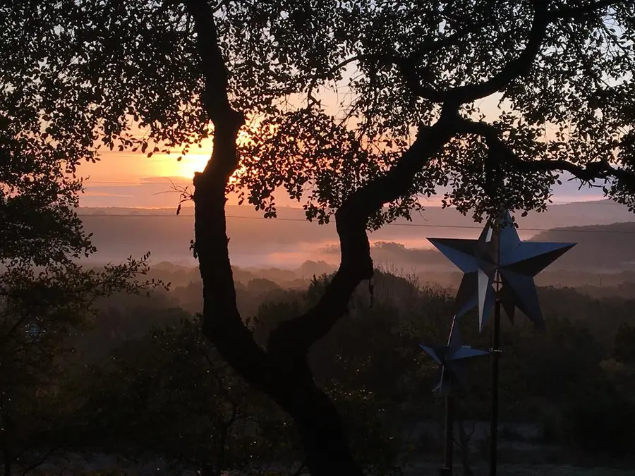 981 Lonesome Loop, Blanco, TX 78606 - #2