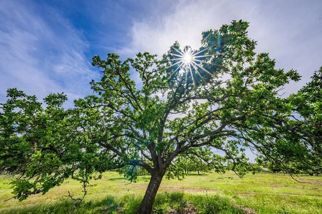 188 Lower Reservation Rd, Harper, TX 78631 - Image #1