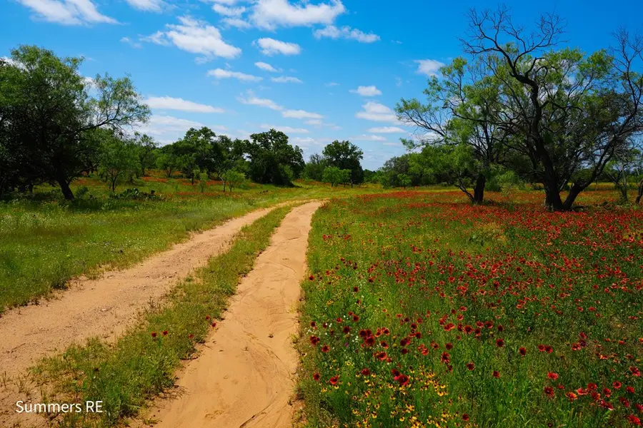 5077 Old Pontotoc Rd, Mason, TX 76856 - Image #2