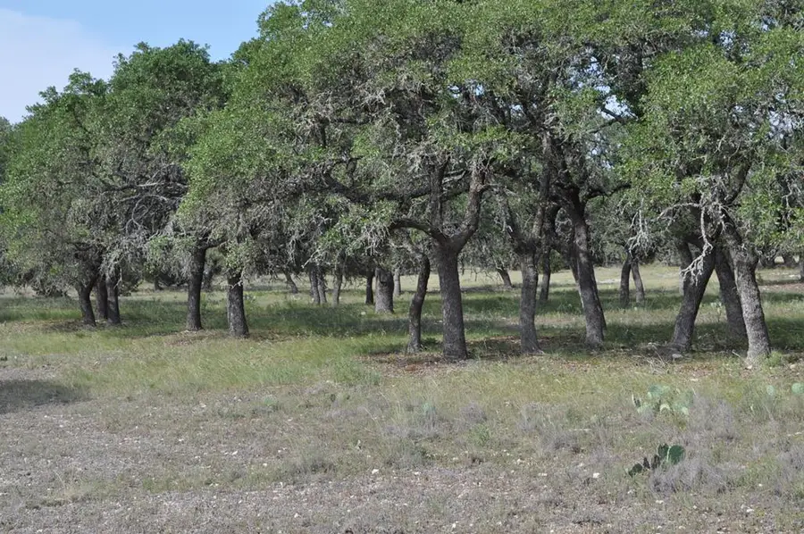 18043 Fm 479, Harper, TX 78631 - Image #2