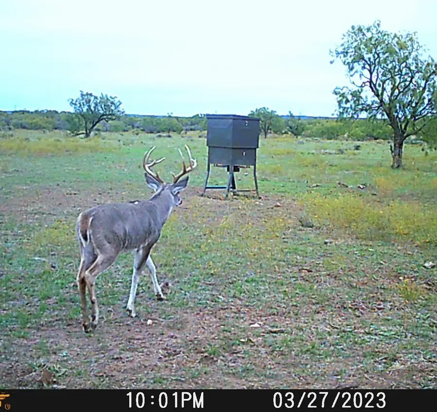 88291 Suaa Rd Well, Lohn, TX 76852 - Image #2