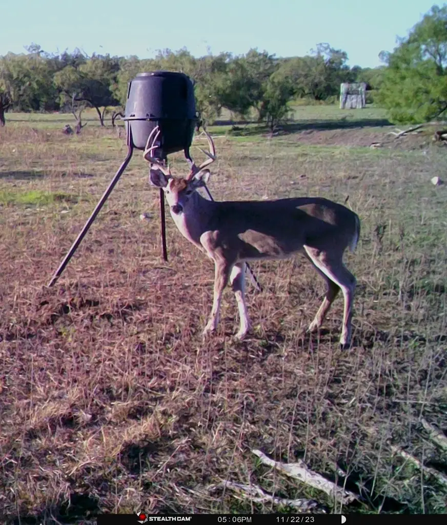 88291 Suaa Rd Well, Lohn, TX 76852 - Image #3