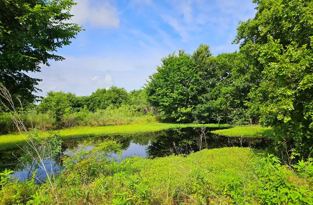 TBD County Rd 333, Rockdale, TX 76567 - Image #1