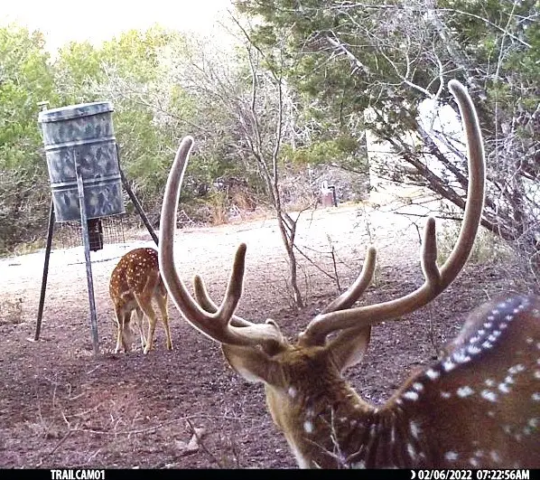 998 Pfiester Rd, Fredericksburg, TX 78624 - Image #3