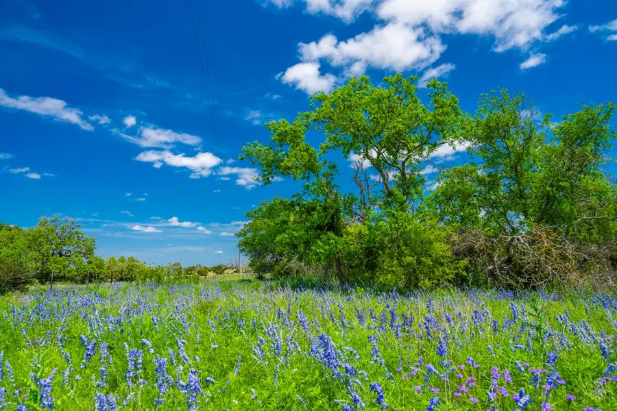 0 Jung Rd, Harper, TX 78631 - Image #2