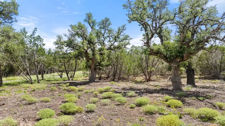Lot 9 Gillespie Ridge Dr, Harper, TX 78058 - #3