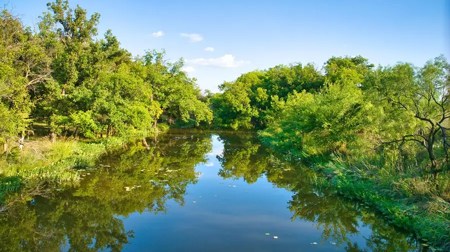 18045 Kenley Lane, Christoval, TX 76935 - Image #3