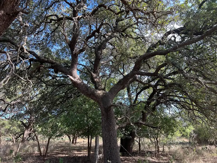 483 County Rd 162, Brady, TX 76825 - Image #3