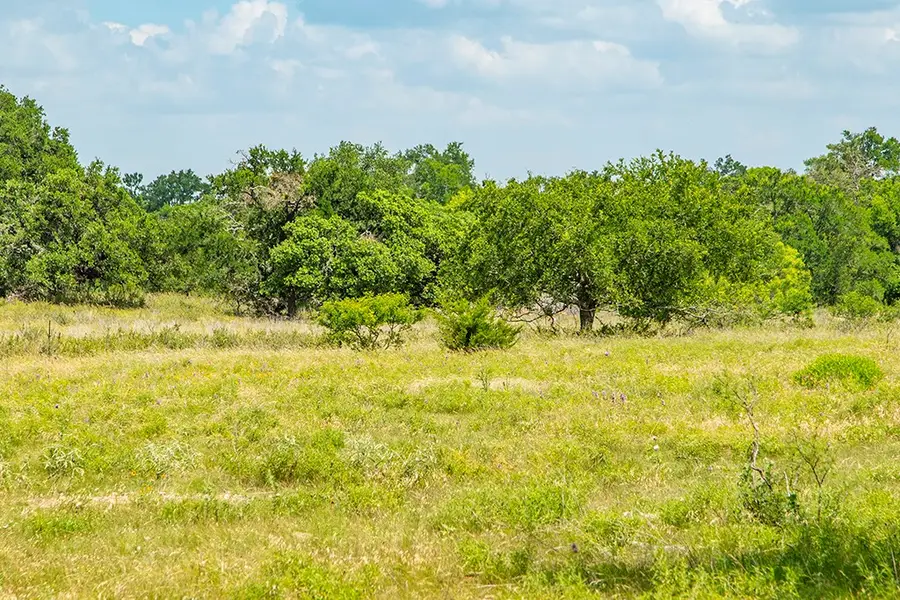 Lot 2 Fm 2093, Harper, TX 78631 - Image #3